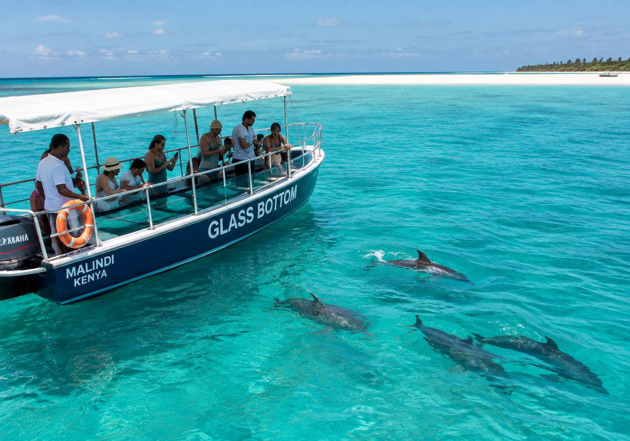 Glass-bottom boat and dolphins off Malindi